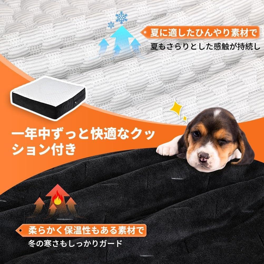 introducing pet