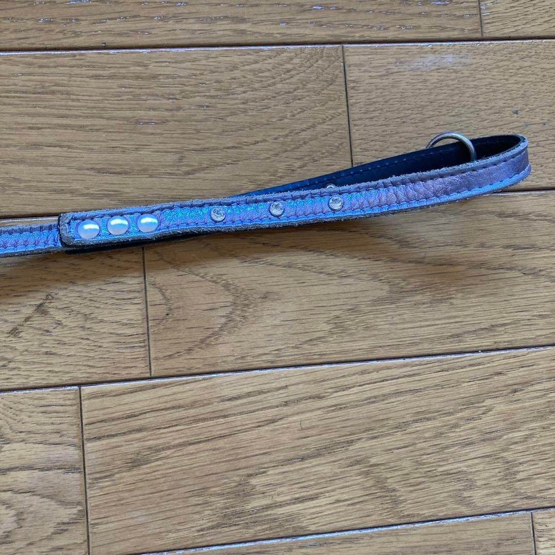 this leash