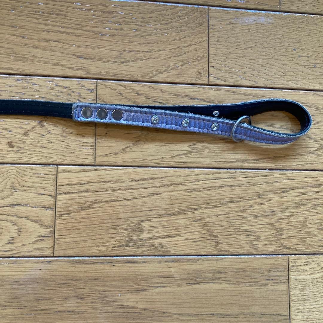 this leash