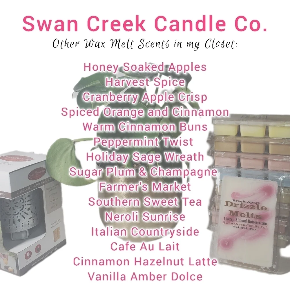 GINGERBREAD by SWAN CREEK CANDLE CO Drizzle Melts 100% Natural Wax 5.25 oz NWT