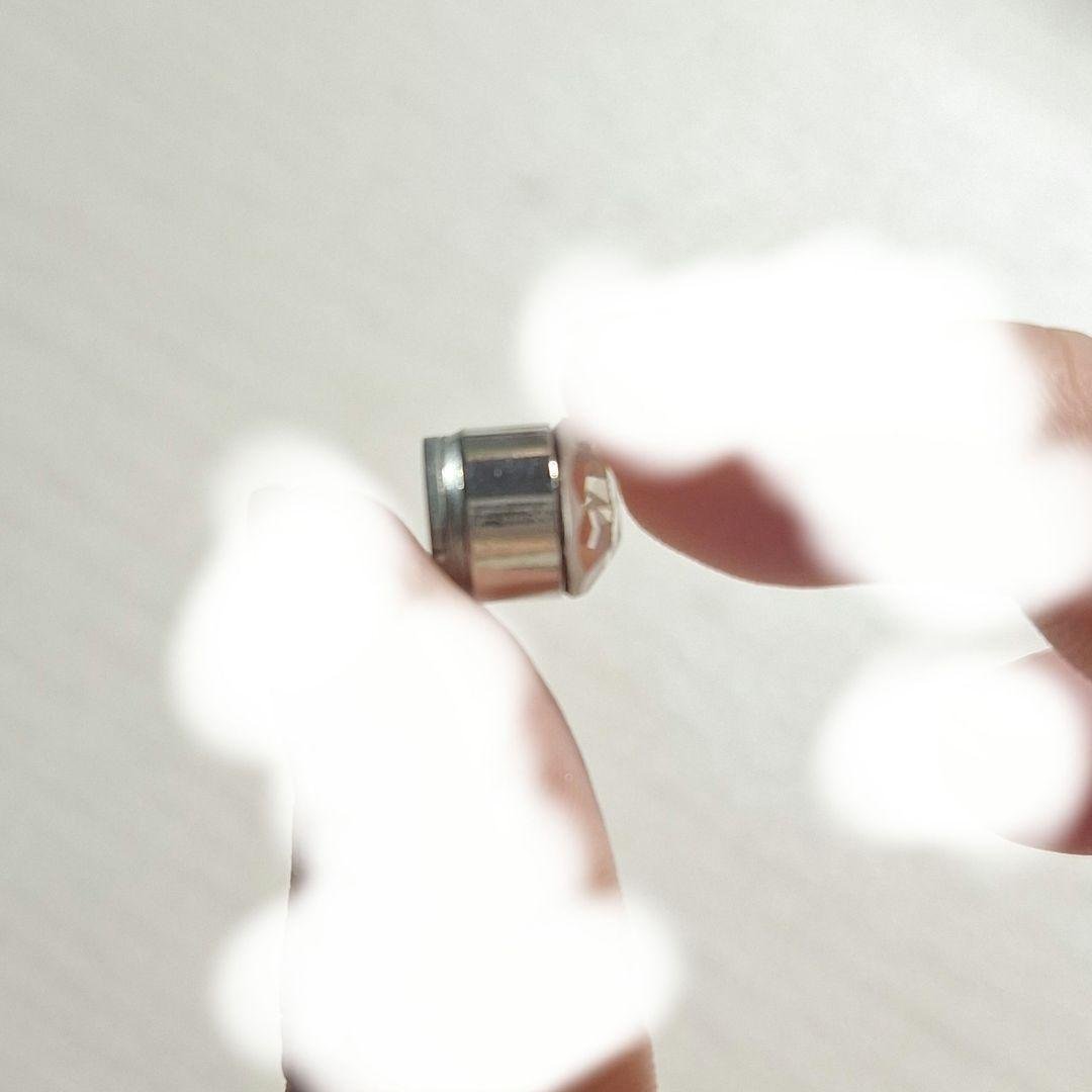 Magnetic Earrings